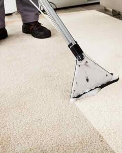 carpet cleaning